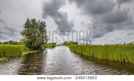 View In Canal Banks With Reeds And Typha Under Cloudy Summer Sky