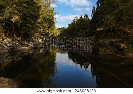 McLaren falls park, Tauranga, North Island, New Zealand