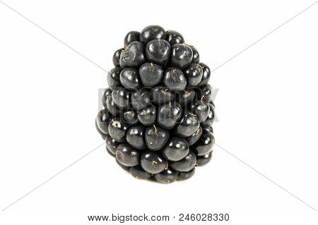 Fresh Blackberry Isolated On White Background With Copy Space