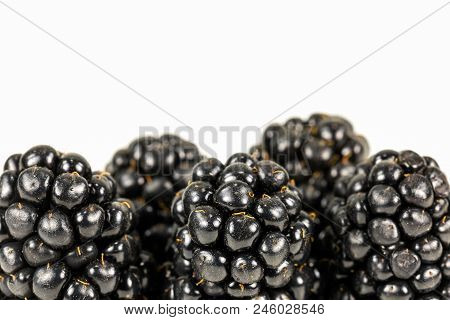 Fresh Blackberries Isolated On White Background With Copy Space