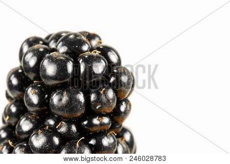 Fresh Blackberry Isolated On White Background With Copy Space