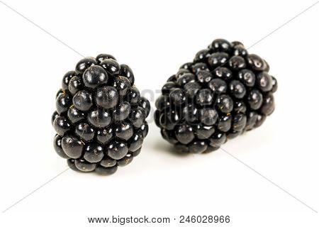 Fresh Blackberries Isolated On White Background With Copy Space