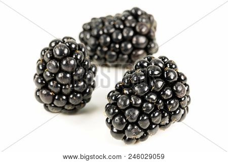 Fresh Blackberries Isolated On White Background With Copy Space