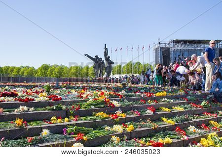 Ay 9, Celebration 73 Year After World War 2, Peoples, Flowers And Sun.