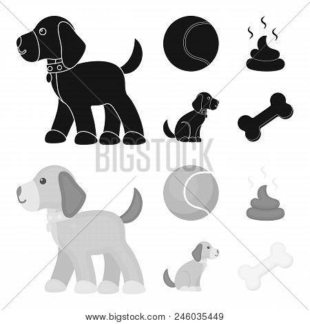 Dog Sitting, Dog Standing, Tennis Ball, Feces. Dog Set Collection Icons In Black, Monochrome Style V