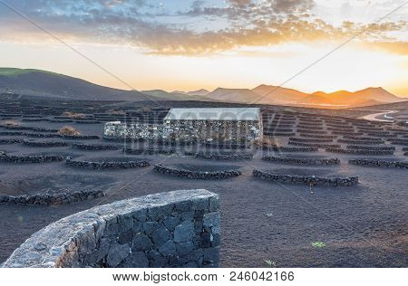 Lanzarote, Spain - December 27, 2016: Stunning Landscape With Sunset On Volcanic Vineyards In La Ger