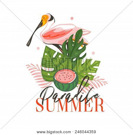Hand Drawn Vector Abstract Graphic Cartoon Summer Time Flat Illustrations Sign With Tropical Birds ,