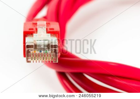 Red Patch Cable With Rj45 Connector Isolated On White Background