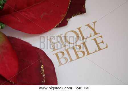 Heilige Bibel