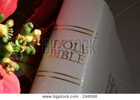 Weihnachten Bibel