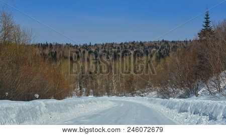 Winter Scenery Of Heilongjiang, China