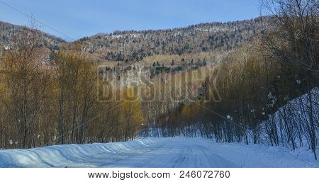 Winter Scenery Of Heilongjiang, China