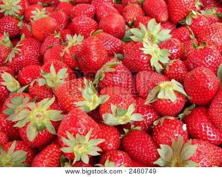 Fresas frescas