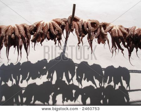 ¿Nadie por el pulpo?