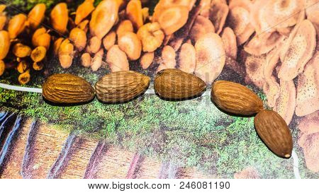 Raw Almonds Nuts On The Wooden Background