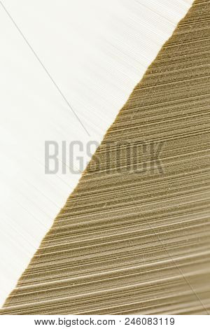 Many Pages On Top Of Each Other Of An Open Book