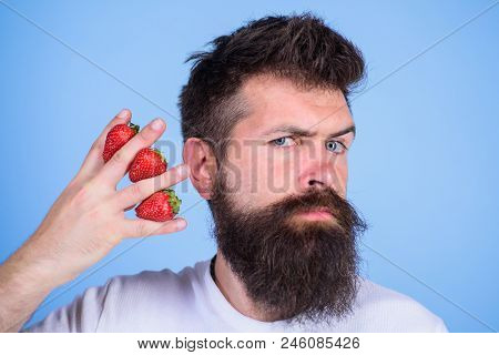 Man Beard Hipster Strawberries Fingers Blue Background. Mostly Carbohydrates Sucrose Fructose Glucos