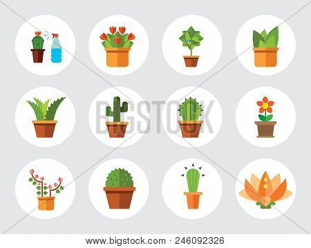 Flowers Vector Icons Set With Aloe In Pot, Tulip And Cactus In Pot. Thirteen Flat Icons