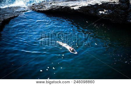 top view of woman swimming in natural sea water pool, Giola, Thassos island, Greece