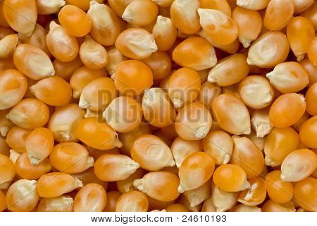 Popcorn sydämet