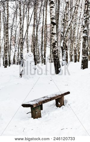 Wooden Bench And Snowman In Birch Grove Of Timiryazevskiy Park In Moscow City In Winter