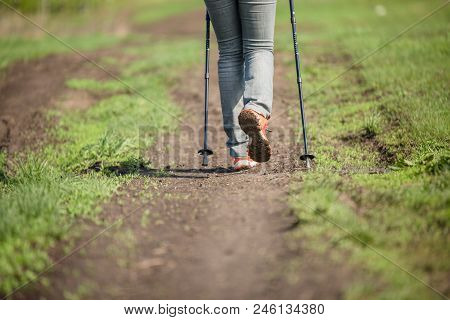 Photo From Back Of Human With Walking Sticks On Forest Road In Summer