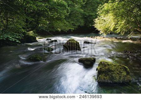 Cold Spring River Deep In The Forrest
