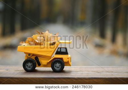 A Small Toy Yellow Truck Is Loaded With Yellow Fallen Leaves. The Car Stands On A Wooden Surface Aga