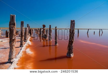 The Salty Lake With Pink Water And The Beach From Salt. Salt Crystals On Wooden Pillars.