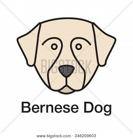 Bernese Mountain Dog Color Icon. Sennenhund Dog. Isolated Vector Illustration