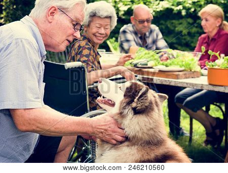 Senior man playing with siberian huskey