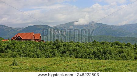 Photo Taken In Summer In Ismayilli Region Of Azerbaijan