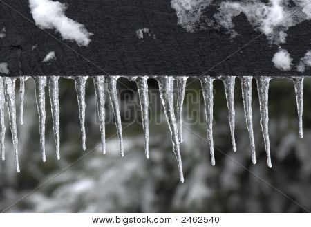 Glace sur la clôture
