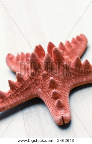 Звезда Красного моря