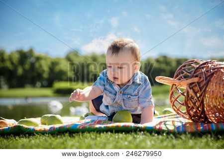 Little Boy In The Garden. Picnic. Happy Childhood
