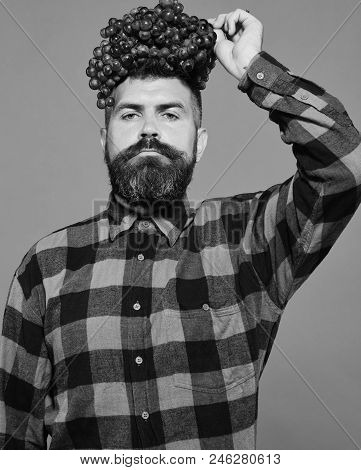 Winegrower With Proud Face Holds Cluster Of Grapes. Winemaking And Autumn Crops Concept. Man With Be