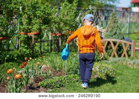 Caucasian Boy Watering Flowers With Water Can On A Croft. Back View.