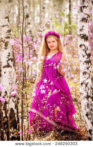 A Child With A Long Blond Hair Stands Among The Ledum And Birch In A Pink Dress And Smiling