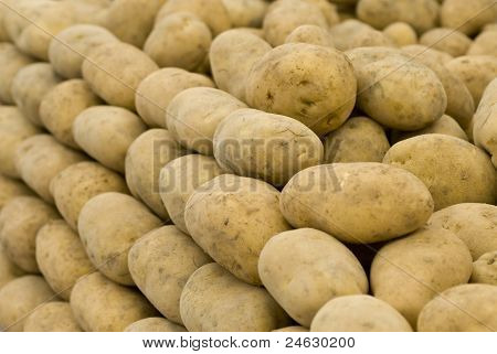 Brambory