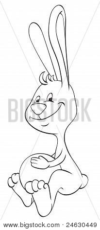 Bunny og bold