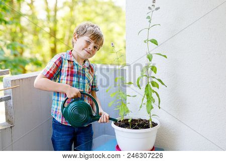 Active Little Preschool Kid Boy Watering Plants With Water Can At Home On Balcony. Little Child Help