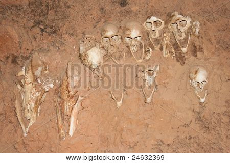 Mono de cráneos en los muros, Mali (África).