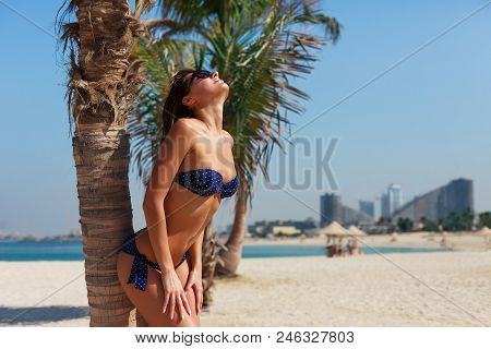 Sexy Beautiful Tanned Woman Relaxing And Sunbathing In Bikini On Sea Background And Palm. Panoramic 