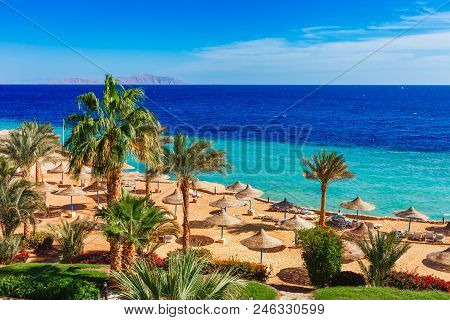 Sunny Resort Beach With Palm Tree At The Coast Shore Of Red Sea In Sharm El Sheikh, Sinai, Egypt, As