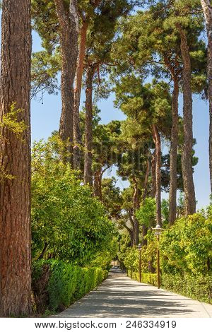 Eram Garden Is Historic Persian Garden In Shiraz. Iran