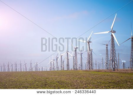 Wind Turbines Farm In Summer Field. Green Energy Concept