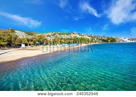 Camel Beach Summer In Bitez, Bodrum, Turkey