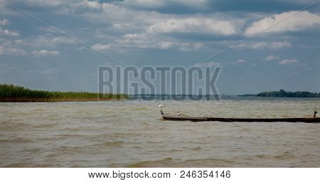 Three Seagulls At A Lake - On The Water, Sitting In A Boat, And Standing On The Boat.