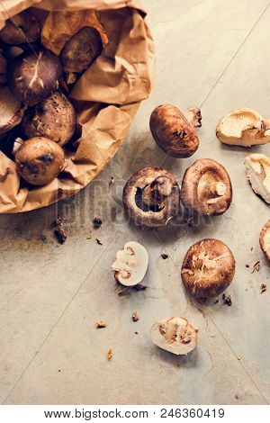 Fresh organic shiitake cremini mushroom