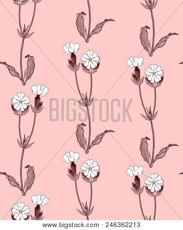 Seamless Pattern With White Campion Flowers On Pink Background Stock Vector Illustration.